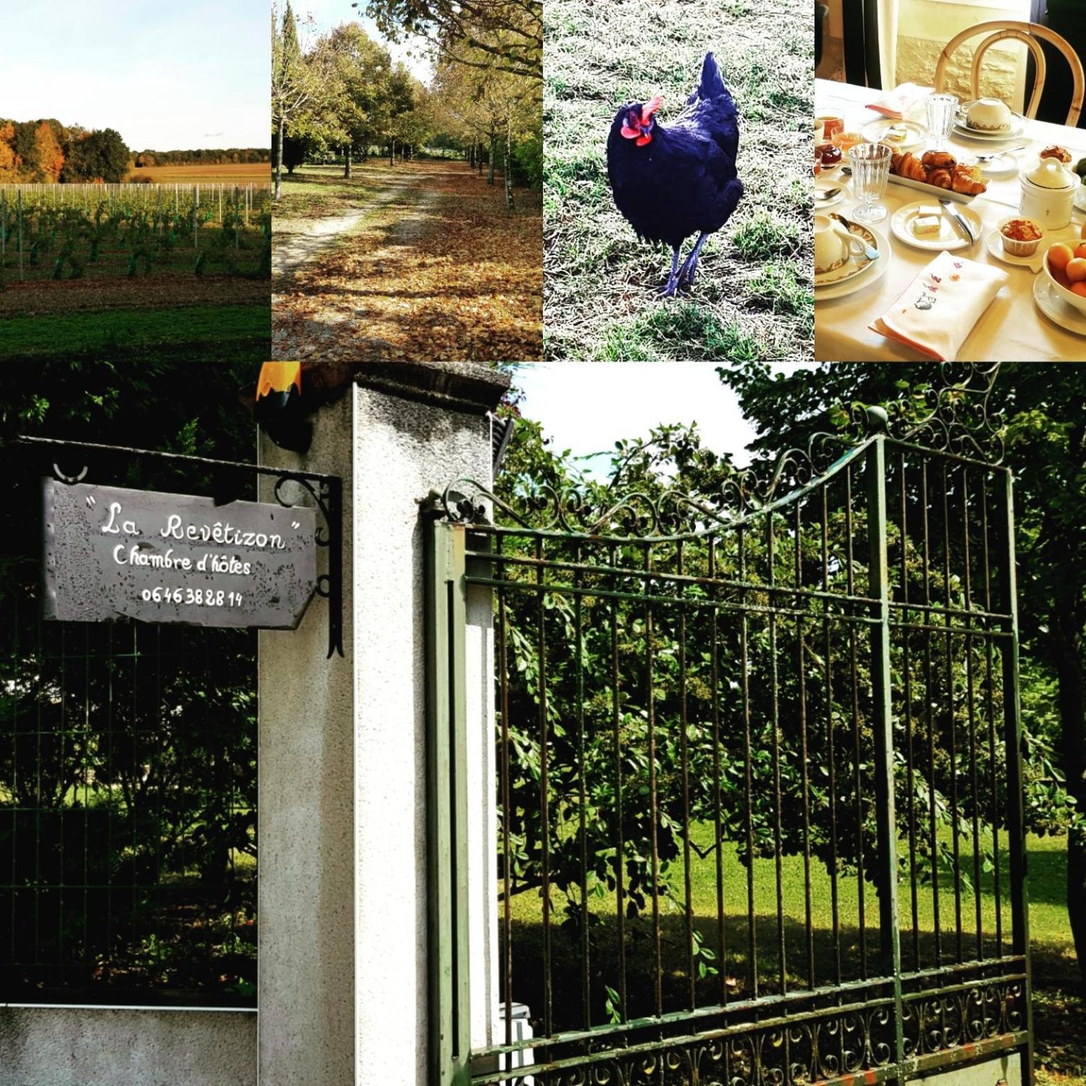 La Revetizon Bed & Breakfast Siecq ภายนอก รูปภาพ